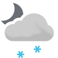 lightsnowshowers_night