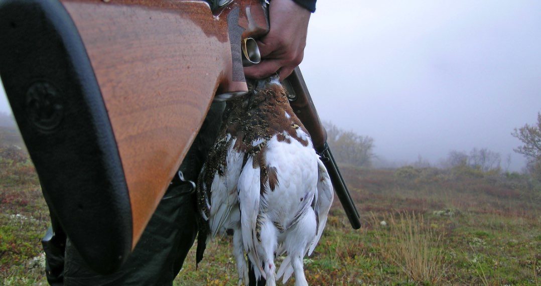 Fefo får kjeft for rypejakt og salg av jaktkort